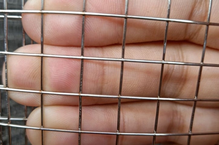 Square welded wire mesh held against a hand for scale